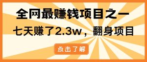(13674期)小白必学项目,纯手机简单操作收益非常高!年前翻身!-聊项目