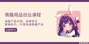 (13682期)情趣用品创业课程:涵盖产品合规,品牌定位,营销技巧,打造热销情趣产品-聊项目